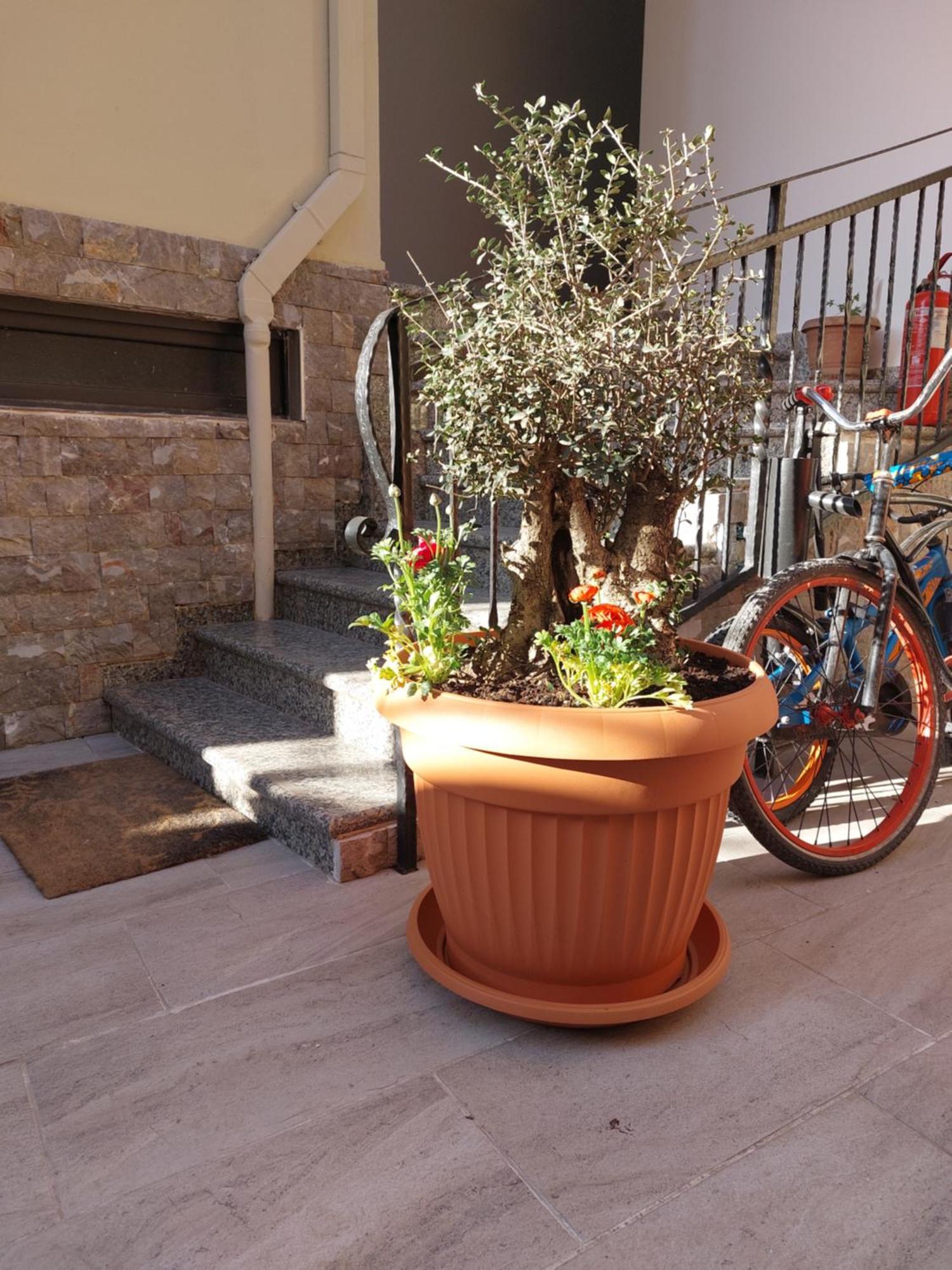 Vila Tafa Apartments Tiranë Bilik gambar